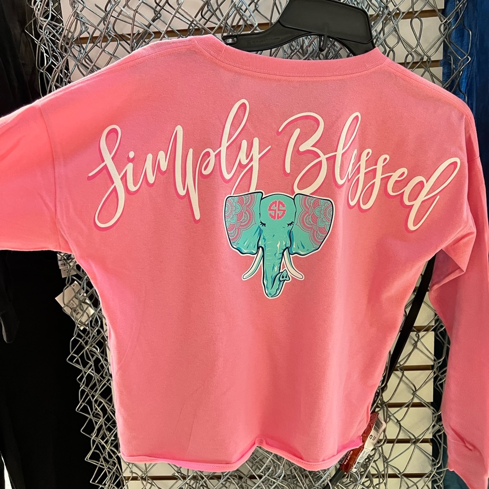Simply southern crop top